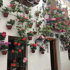  Apartment Buhardilla De Wallada